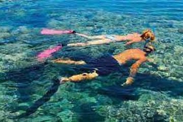 Snorkeling Adventure in Ras Mohammed National Park, Sharm El Sheikh