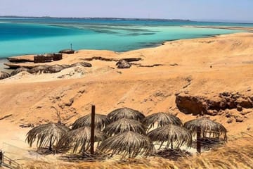 Snorkeling and Diving Day Trip to Ozirea Island, Egypt
