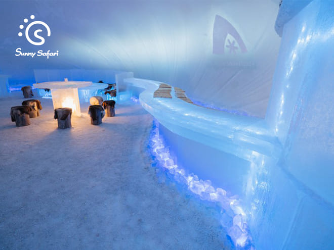 Dating Snow & Ice - Snowshoeing, Santa Claus Village, Husky Ride & Ice Castle Visiting photo 3