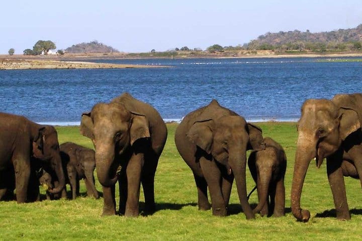 3 Days Tour to Kandy, Nuwara Eliya & Sigiriya