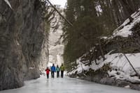 Grassi Lake and Grotto Canyon Icewalk from Calgary 6
