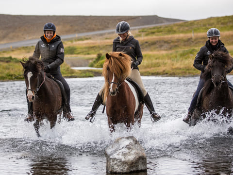 Pleasure in every hoof step, photo 2