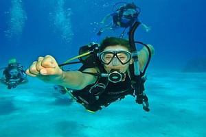 Tiran Island Full Day Snorkeling Sea Trip & intro dive 15 min - Sharm El Sheikh