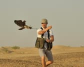 Morning Desert Wildlife Safari with Falconry Display from Dubai 5