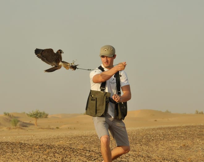 Morning Desert Wildlife Safari with Falconry Display from Dubai photo 5