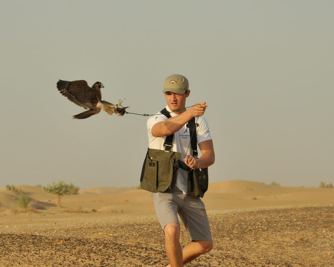 Morning Desert Wildlife Safari with Falconry Display from Dubai 5