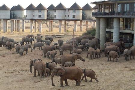 3 DAYS SAFARI TO TSAVO EAST NATIONAL PARK FROM MOMBASA/DIANI