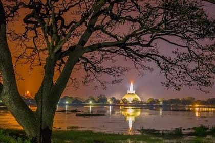 Wilpattu Jeep Safari and Anuradhapura Day Tour From Sigiriya