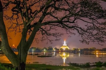 Wilpattu Jeep Safari and Anuradhapura Tour from Sigiriya