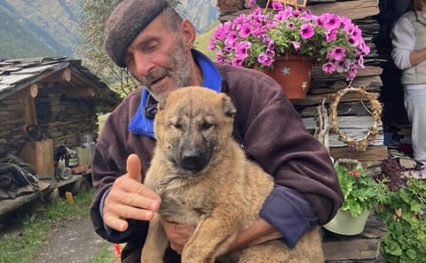 Culinary and ATV Tour in Dartlo and Diklo, Georgia