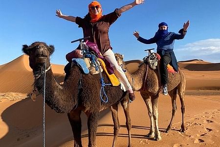 Sunset Camel Ride in Merzouga Dunes: Experience the Desert Magic