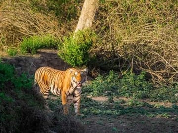 Bangalore to Mysore and Nagarhole National Park Tour