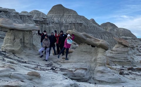 Hiking Tour of La Leona Petrified Forest from El Calafate
