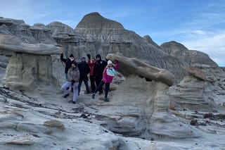 La Leona Petrified Forest Hiking Tour from El Calafate