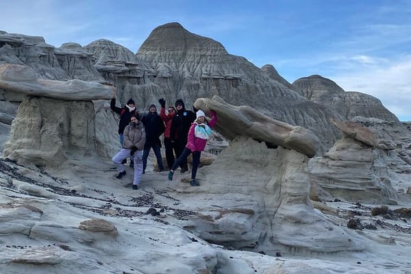 La Leona Petrified Forest Hiking Tour from El Calafate