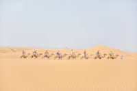 Private Day Tour to Kubuqi Desert from Hohhot with Pick Up 5