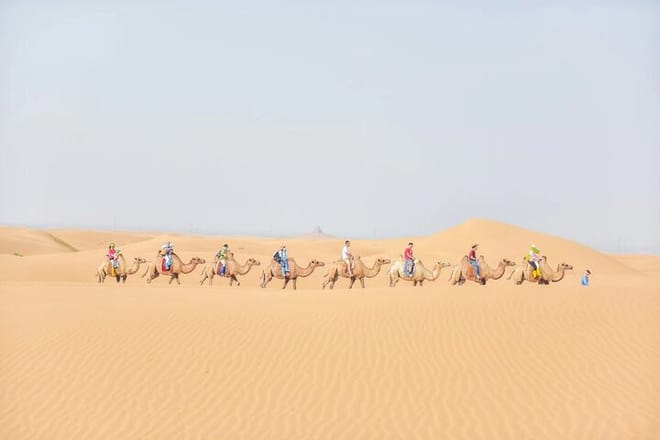 Private Day Tour to Kubuqi Desert from Hohhot with Pick Up photo 5