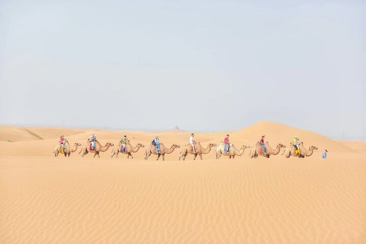 Private Day Tour to Kubuqi Desert from Hohhot with Pick Up 5