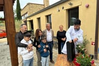 Olive Oil Tours and Tasting at Frantoio di Montalcino 4