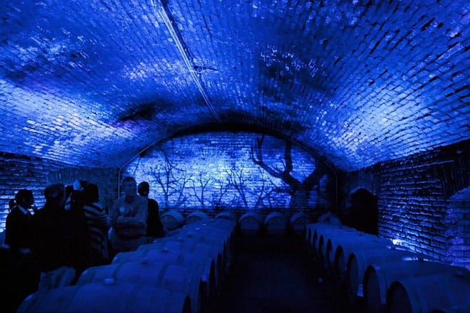 Cellar of Concha y Toro Winery