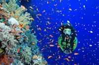 PADI Open Water Course Advanced Diving in Hurghada - Hurghada