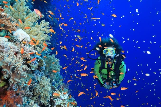 PADI Open Water Course Advanced Diving in Hurghada - Hurghada