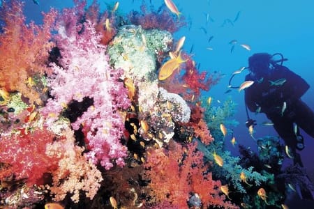 Diving Tour in Hurghada