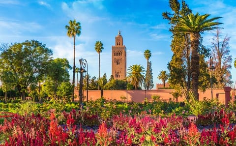 Private Full Day City Tour of Marrakech's Cultural Highlights