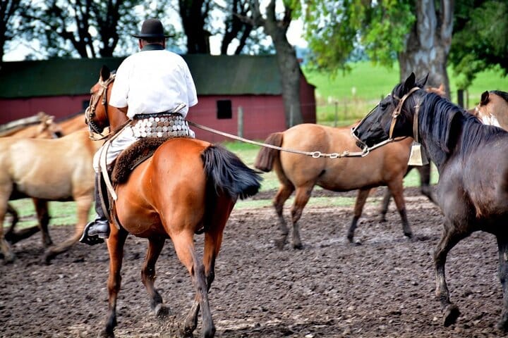 Gaucho Day Trip from Buenos Aires: Santa Susana Ranch