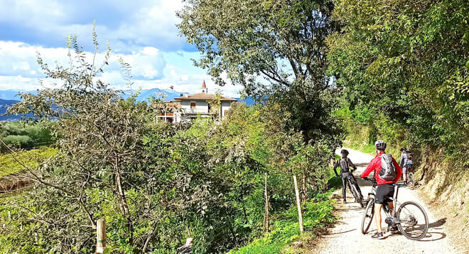E-Bike Tour and Wine Tasting from Bardolino photo 5