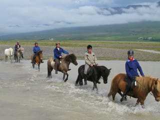River Delta, photo 7