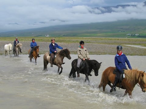 River Delta, photo 7