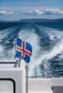 Best Value Whale Watching Tour from Reykjavik	 10