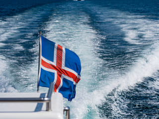 Best Value Whale Watching tour from Reykjavik, photo 11