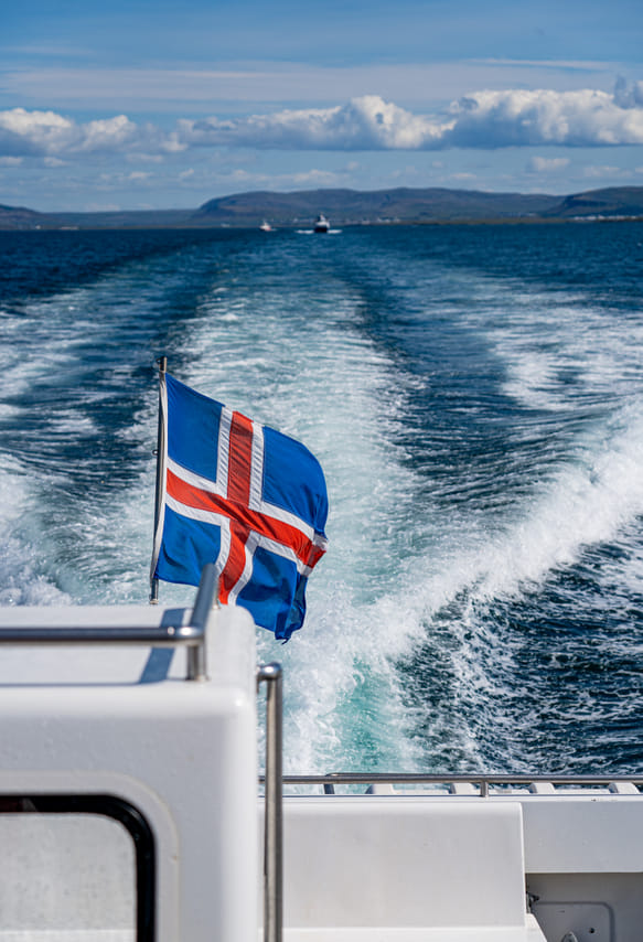 Best Value Whale Watching Tour from Reykjavik	 10