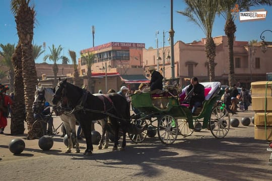 Horse Carriage Ride in Marrakech