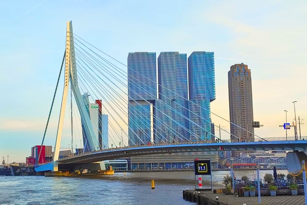 Hidden perspective of De Erasmusbrug along the route of the Rotterdam scavenger hunt City Detective. One of the highlights players can disco