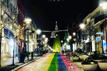 Private Christmas Walking Tour in Reykjavík, Iceland
