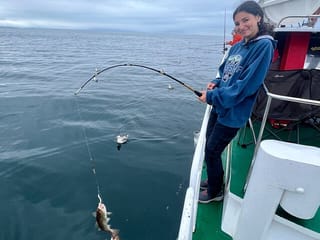 Reykjavik's Finest Catch: Guided Sea Angling Tour for All Levels, photo 11