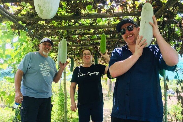 Hoi An Local Market and Vegetable Village Cooking Class