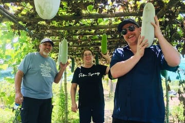 Hoi An Local Market and Vegetable Village Cooking Class