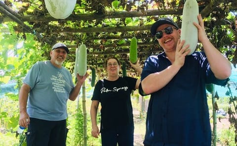 Hoi An Market and Cam Thanh Vegetable Village Cooking Class