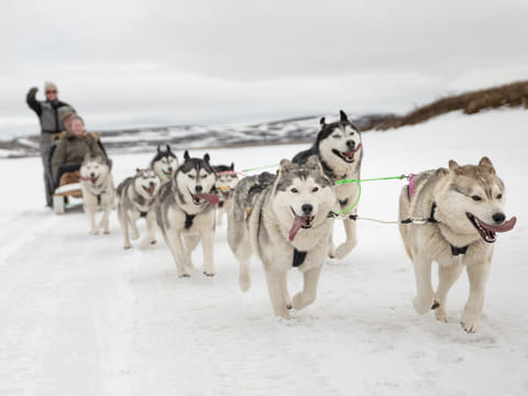 Dog Sledding and Goðafoss experience from Akureyri, photo 2
