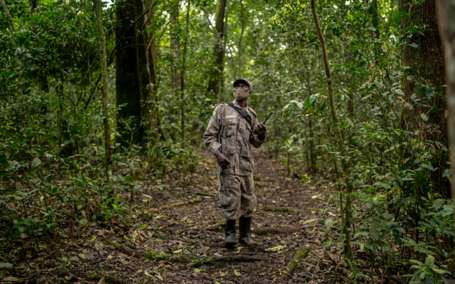 3-Day Gorilla Trekking in Mgahinga Park photo 2