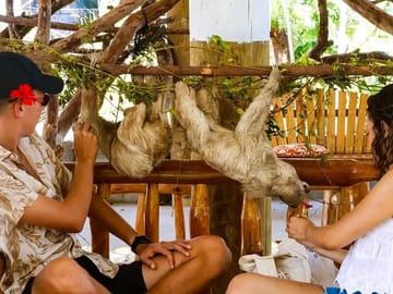 Wildlife and Chocolate Factory Tour with Beach Break in Coxen Hole