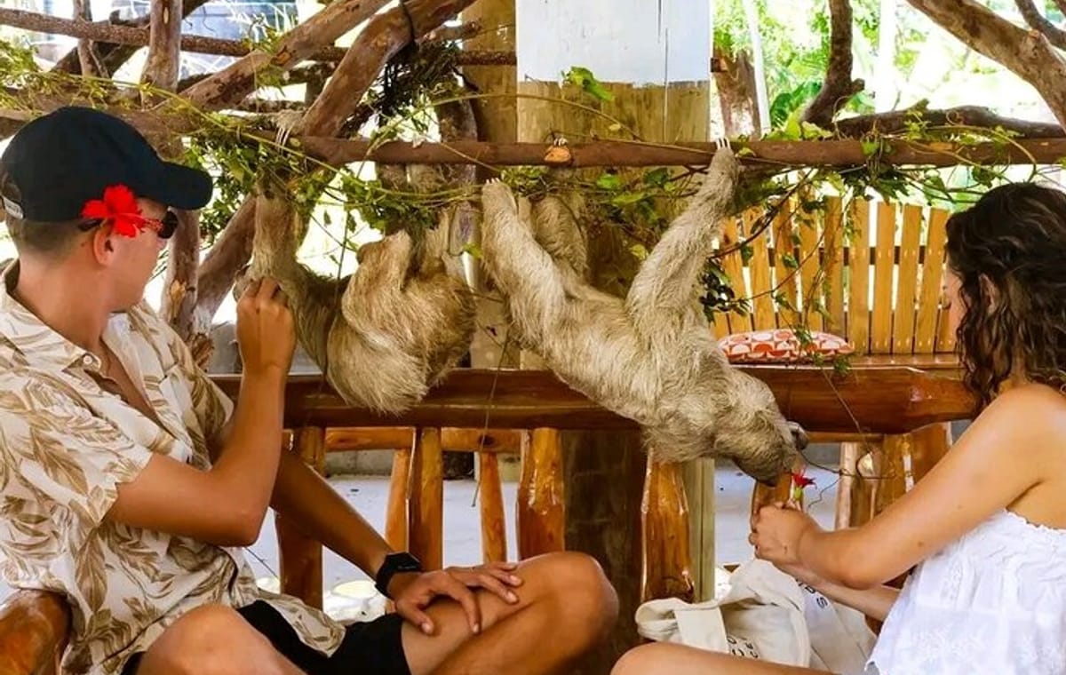 Wildlife adventure, Chocolate factory, city Tour & Beach Break