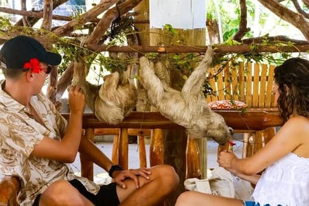 Wildlife adventure, Chocolate factory, city Tour & Beach Break