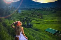 Full-Day Trip UNESCO Rice Terrace, Water Temple & Tanah Lot 6