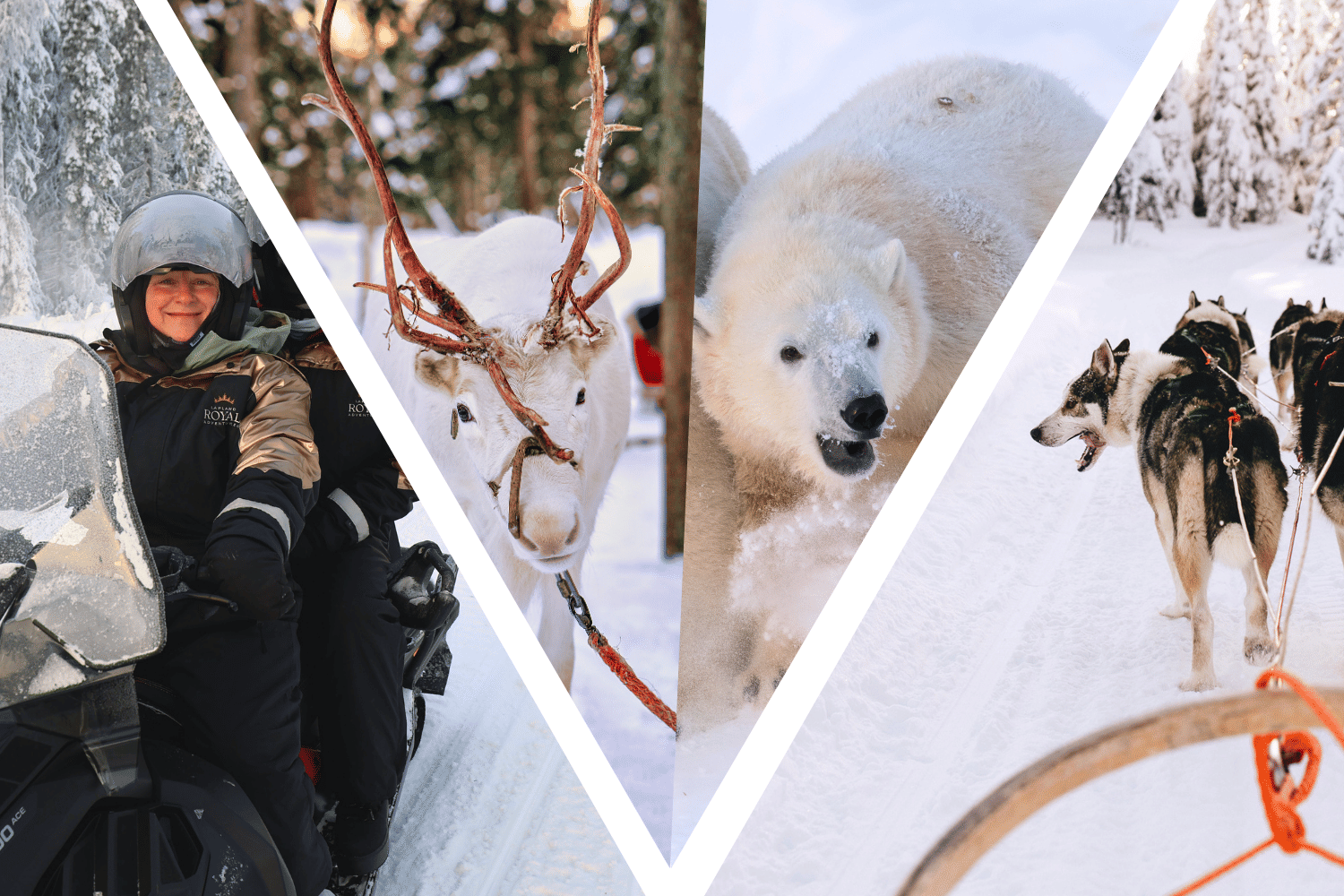 Family Day – Ultimate 3-Day Lapland Experience