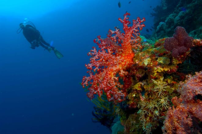 Catalina Island - Full Day Excursion From Punta Cana 6